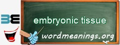 WordMeaning blackboard for embryonic tissue